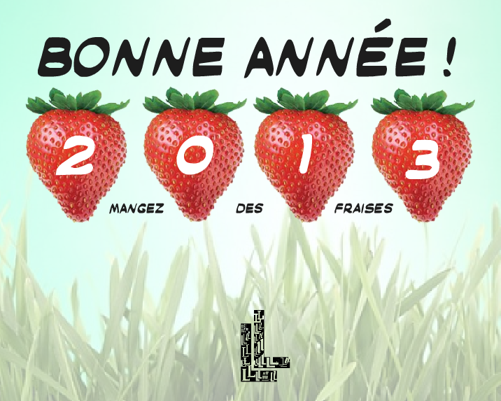 Bonne année 2013